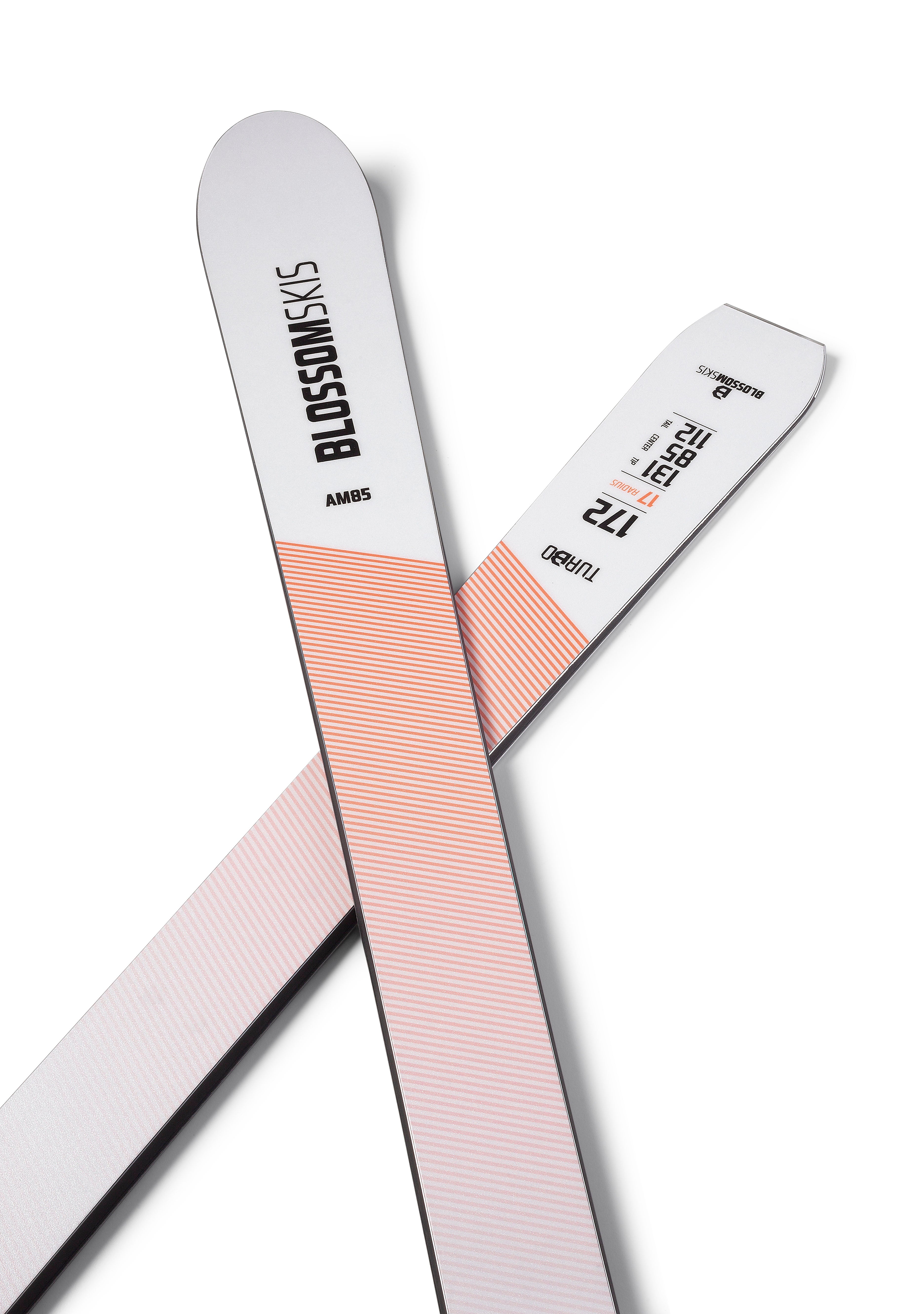 AVOCET VERTECH SKI（アボセット　バーテック　スキー） AVOCET VERTECH SKI（アボセット バーテック スキー） 2025年