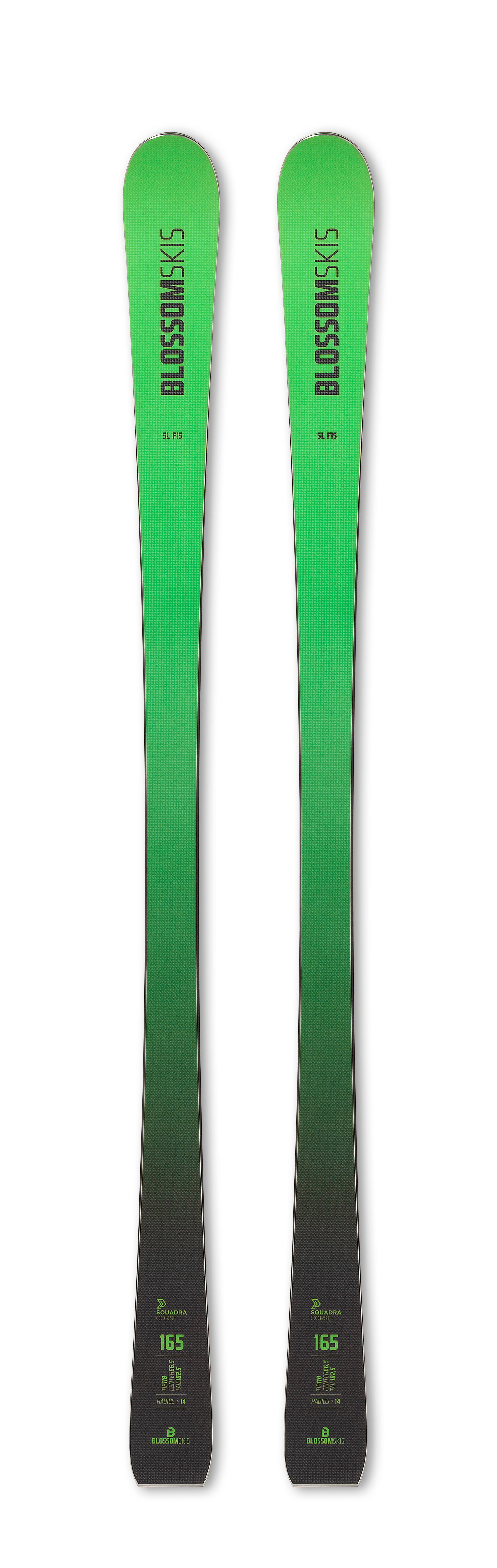 Blossom Skis – Ski Tech
